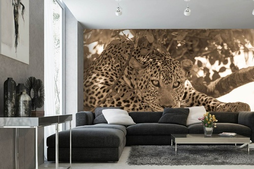 Vlies Fototapete - Sepia-Leopardenporträt 375 x 250 cm